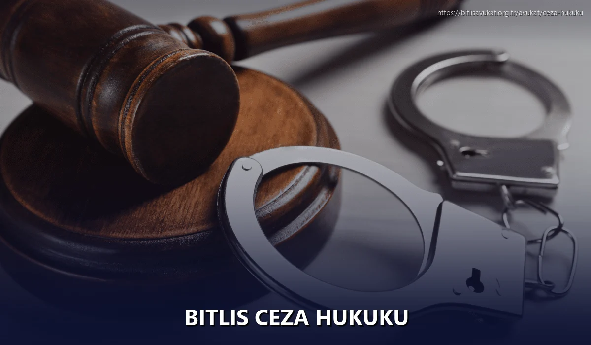 Bitlis Ceza Hukuku