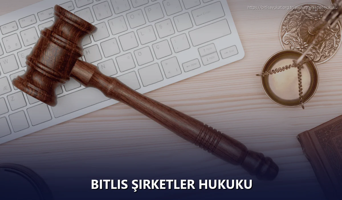 Bitlis Şirketler Hukuku