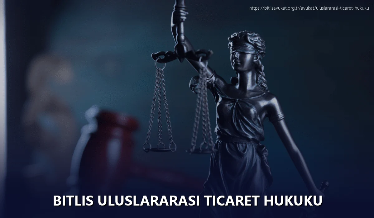Bitlis Uluslararası Ticaret Hukuku
